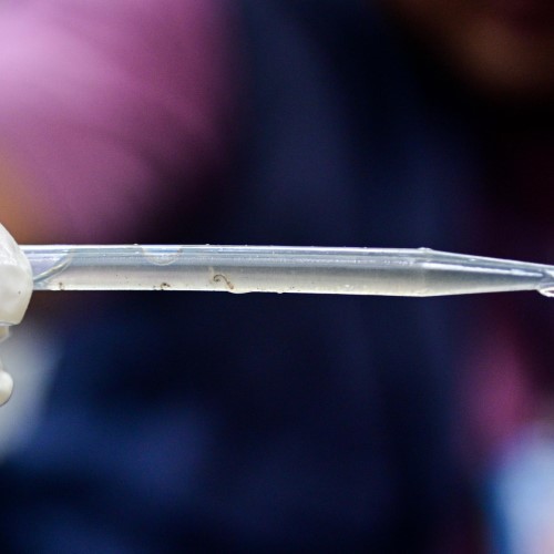 Barra Mansa realiza última medição do LIRAa em 2025 e prepara Dia D contra a dengue